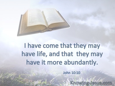 I have come that they may have life, and that  they may have it more abundantly.